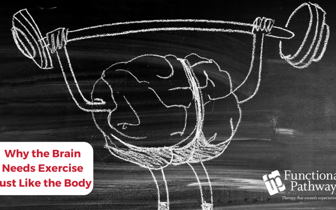 Why the Brain Needs Exercise Just Like the Body