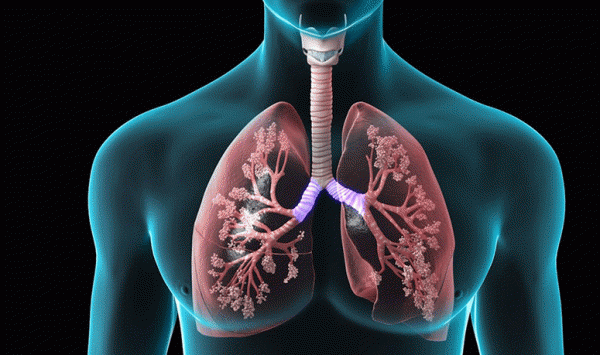 The Benefits of Tai Chi for COPD