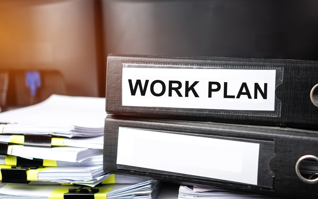 Office of Inspector General Workplan Updates