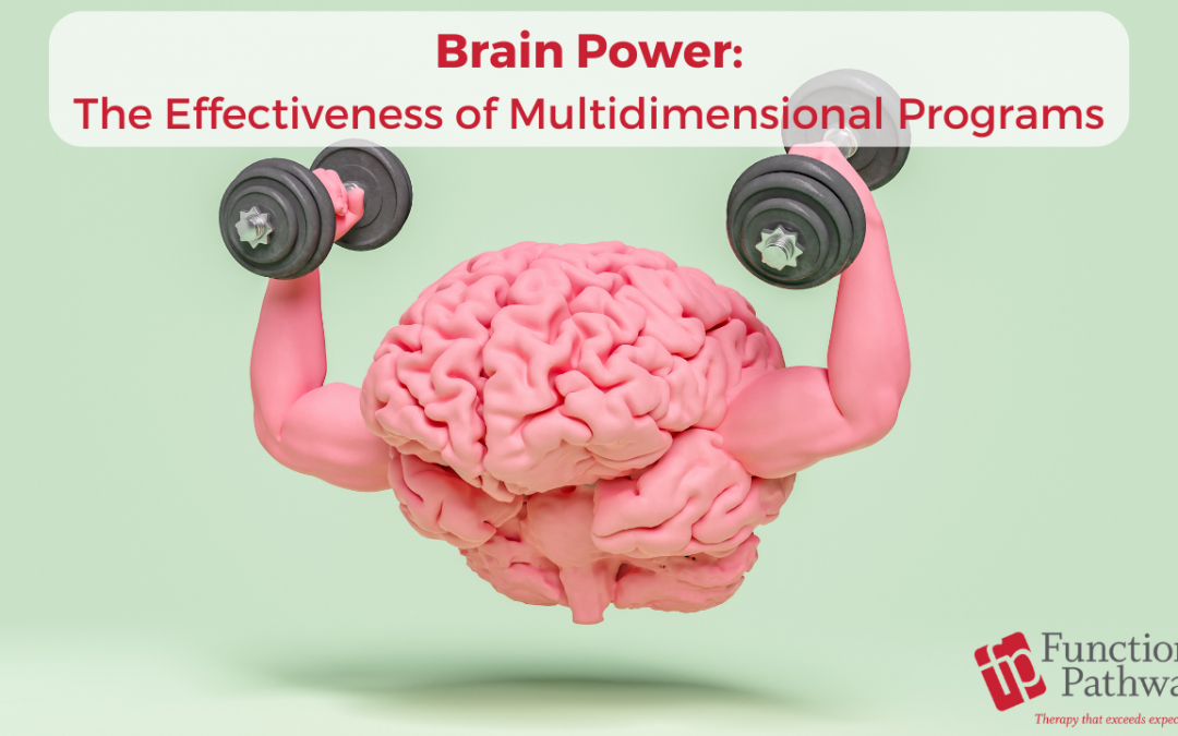 Brain Power: The Effectiveness of Multidimensional Programs
