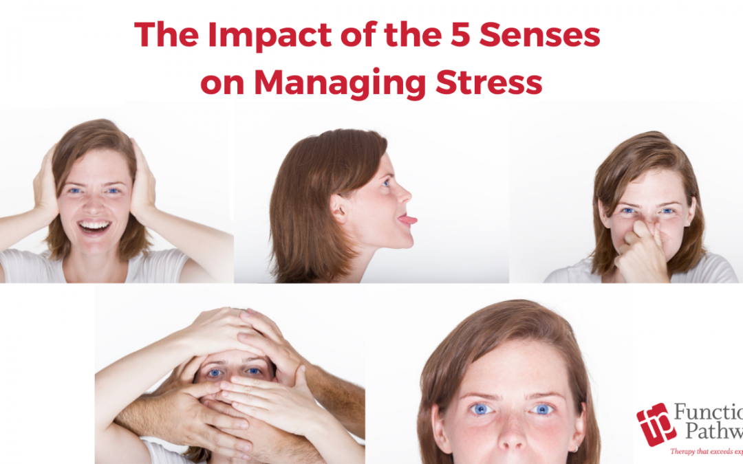 The Impact of the 5 Senses on Managing Stress